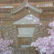 ヒメ日記 2026/02/15 19:01 投稿 ねい 熟女の風俗最終章 蒲田店