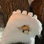 ヒメ日記 2026/02/17 23:13 投稿 ねい 熟女の風俗最終章 蒲田店