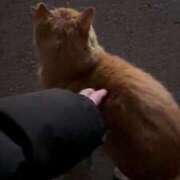 ヒメ日記 2025/07/05 15:29 投稿 ゆな 秒即DE舐めてミント池袋店