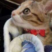 ヒメ日記 2025/01/09 18:44 投稿 りえ 僕らのぽっちゃリーノin春日部