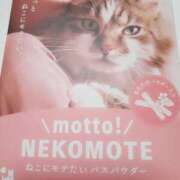 ヒメ日記 2025/01/10 21:46 投稿 りえ 僕らのぽっちゃリーノin春日部