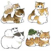 ヒメ日記 2025/01/11 01:27 投稿 りえ 僕らのぽっちゃリーノin春日部