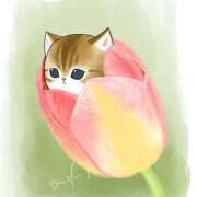 ヒメ日記 2025/03/14 01:04 投稿 りえ 僕らのぽっちゃリーノin春日部