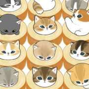 ヒメ日記 2025/03/14 15:34 投稿 りえ 僕らのぽっちゃリーノin春日部