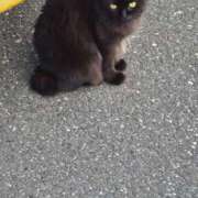 ヒメ日記 2025/04/17 15:35 投稿 りえ 僕らのぽっちゃリーノin春日部