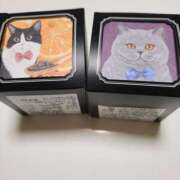 ヒメ日記 2025/07/02 00:20 投稿 りえ 僕らのぽっちゃリーノin春日部