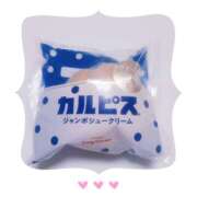 ヒメ日記 2025/07/24 13:22 投稿 りえ 僕らのぽっちゃリーノin春日部