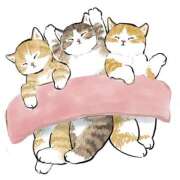 ヒメ日記 2025/07/25 02:27 投稿 りえ 僕らのぽっちゃリーノin春日部