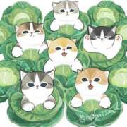 ヒメ日記 2025/01/24 01:11 投稿 りえ 僕らのぽっちゃリーノin越谷