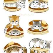 ヒメ日記 2025/02/01 16:31 投稿 りえ 僕らのぽっちゃリーノin越谷