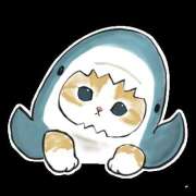 ヒメ日記 2025/02/13 18:58 投稿 りえ 僕らのぽっちゃリーノin越谷