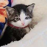 ヒメ日記 2025/04/27 23:44 投稿 りえ 僕らのぽっちゃリーノin越谷