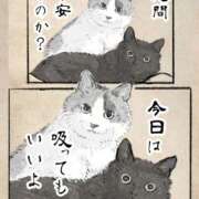 ヒメ日記 2025/08/22 18:58 投稿 りえ 僕らのぽっちゃリーノin越谷