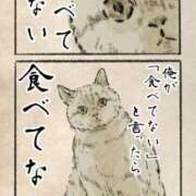 ヒメ日記 2025/08/29 22:59 投稿 りえ 僕らのぽっちゃリーノin越谷