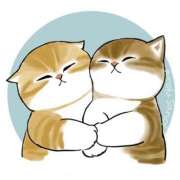 ヒメ日記 2025/10/22 05:00 投稿 りえ 僕らのぽっちゃリーノin越谷