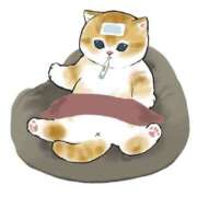 ヒメ日記 2025/11/12 05:40 投稿 りえ 僕らのぽっちゃリーノin越谷