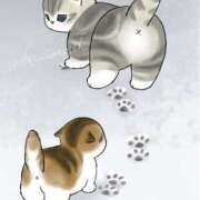 ヒメ日記 2025/12/31 23:29 投稿 りえ 僕らのぽっちゃリーノin越谷