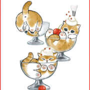 ヒメ日記 2026/01/05 18:30 投稿 りえ 僕らのぽっちゃリーノin越谷