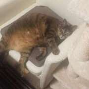 りえ たくさん💓 僕らのぽっちゃリーノin越谷