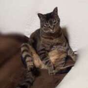 ヒメ日記 2024/12/27 15:33 投稿 りえ 僕らのぽっちゃリーノin大宮