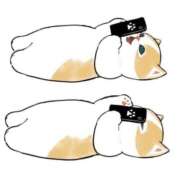 ヒメ日記 2025/01/17 02:16 投稿 りえ 僕らのぽっちゃリーノin大宮