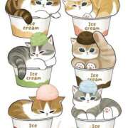 ヒメ日記 2025/01/29 22:22 投稿 りえ 僕らのぽっちゃリーノin大宮