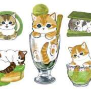 ヒメ日記 2025/02/07 22:07 投稿 りえ 僕らのぽっちゃリーノin大宮