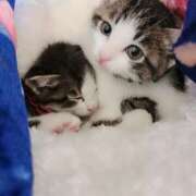 ヒメ日記 2025/06/27 23:52 投稿 りえ 僕らのぽっちゃリーノin大宮