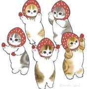 ヒメ日記 2025/01/16 18:28 投稿 りえ 僕らのぽっちゃリーノin野田