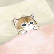 ヒメ日記 2025/02/02 02:12 投稿 りえ 僕らのぽっちゃリーノin野田