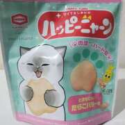 ヒメ日記 2025/02/20 00:59 投稿 りえ 僕らのぽっちゃリーノin野田