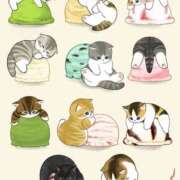 ヒメ日記 2025/04/16 00:48 投稿 りえ 僕らのぽっちゃリーノin野田