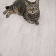 ヒメ日記 2025/12/01 06:00 投稿 りえ 僕らのぽっちゃリーノin野田