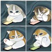 りえ 7日お礼💕 僕らのぽっちゃリーノin野田