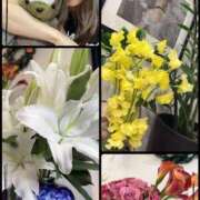 ヒメ日記 2025/03/06 11:37 投稿 杉咲 パンドラ（吉原）