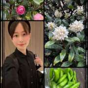 ヒメ日記 2025/03/12 22:13 投稿 杉咲 パンドラ（吉原）