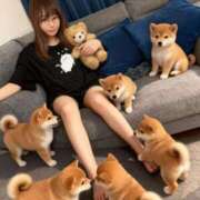 ヒメ日記 2025/11/21 20:25 投稿 杉咲 パンドラ（吉原）