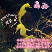 ヒメ日記 2024/12/30 06:08 投稿 あみ One More奥様　厚木店