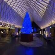 ヒメ日記 2024/12/25 10:21 投稿 かえで 小田原人妻城