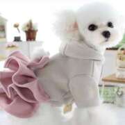 ヒメ日記 2025/02/19 16:50 投稿 かえで 小田原人妻城