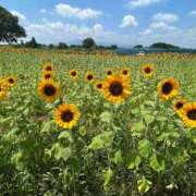 ヒメ日記 2025/08/21 18:13 投稿 かえで 小田原人妻城