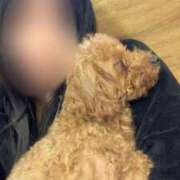 ヒメ日記 2025/11/20 05:00 投稿 まりな カワサキ EROTIC