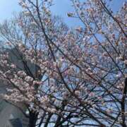 ヒメ日記 2025/03/26 10:20 投稿 かな(スレンダー美少女) 学園天国