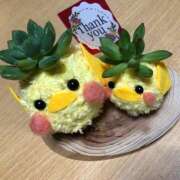 ヒメ日記 2025/05/06 09:57 投稿 かな(スレンダー美少女) 学園天国