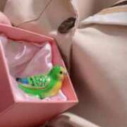 ヒメ日記 2025/05/29 14:25 投稿 かな(スレンダー美少女) 学園天国