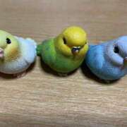 かな(スレンダー美少女) ごめんね( ；꒳； ) 学園天国