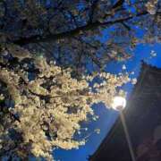 ヒメ日記 2025/04/11 20:03 投稿 あいる パイの巣