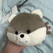 ヒメ日記 2025/05/07 22:19 投稿 あいる パイの巣