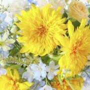 ヒメ日記 2025/10/08 12:47 投稿 うみ 大垣羽島安八ちゃんこ