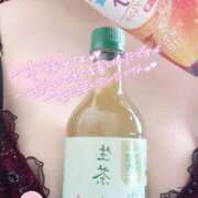 ヒメ日記 2025/07/31 16:51 投稿 なな 兵庫姫路・加古川ちゃんこ